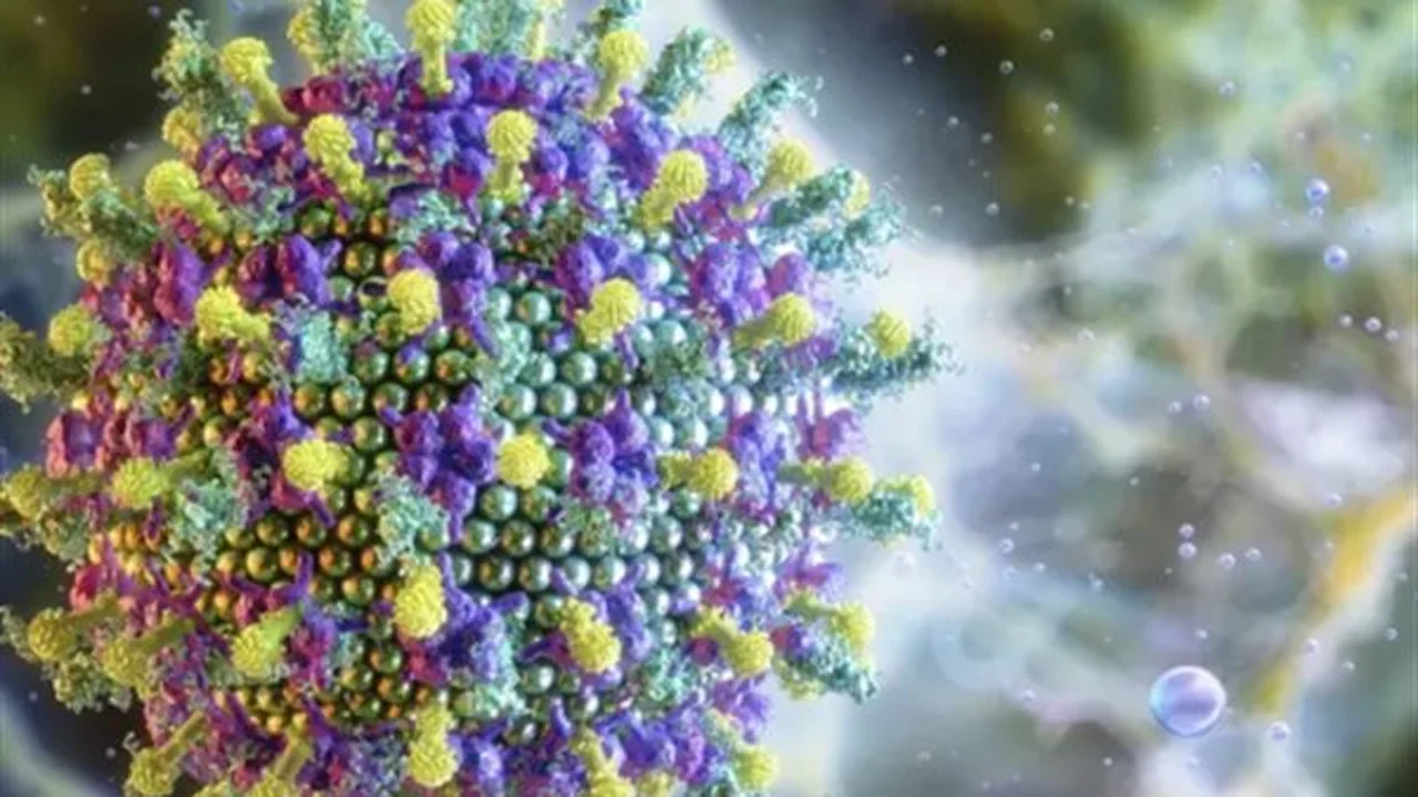 تحذير دولي.. أسباب تفاؤل منظمة الصحة العالمية بشأن مواجهة فيروس نيباه القاتل